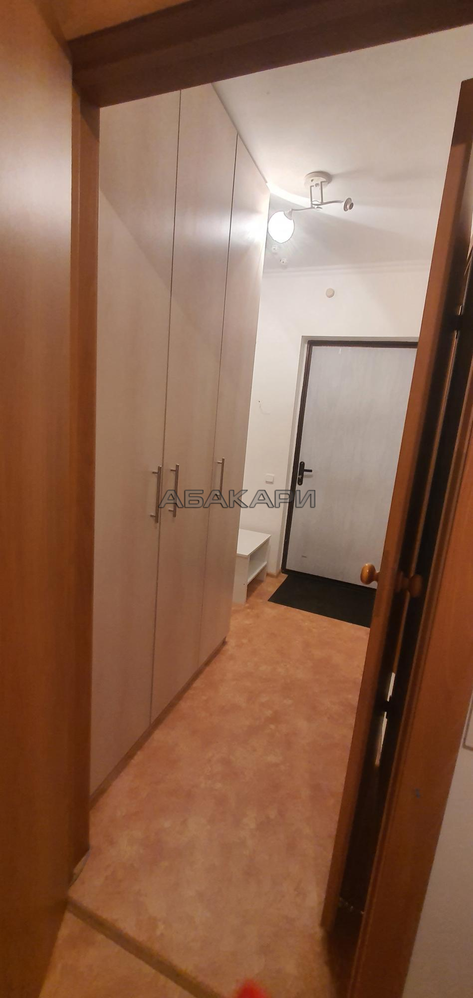 студия Лесопарковая улица, 25  за 24000 руб/мес фото 7