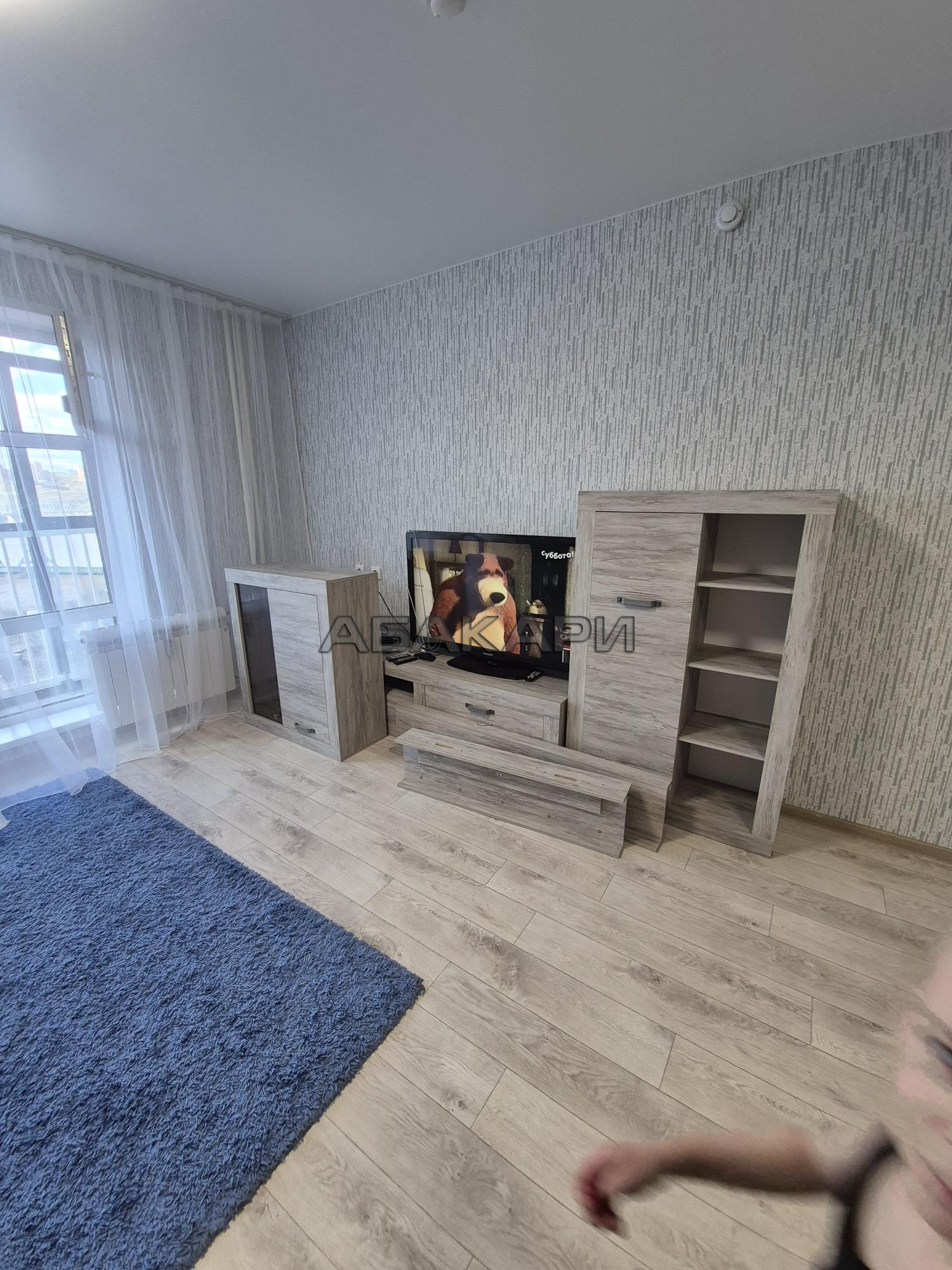 студия Судостроительная улица, 31И  за 28000 руб/мес фото 4