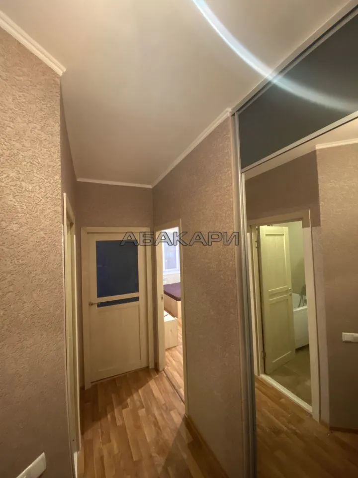 1-комнатная Капитанская улица, 14  за 36000 руб/мес фото 8