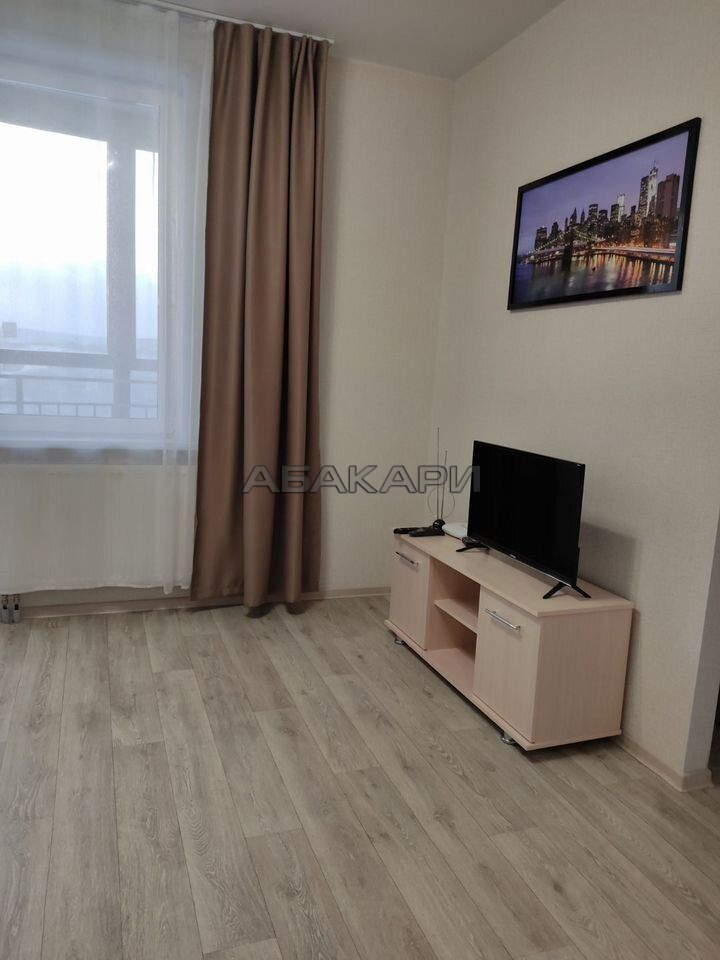 1-комнатная улица Петра Подзолкова, 4  за 32000 руб/мес фото 2
