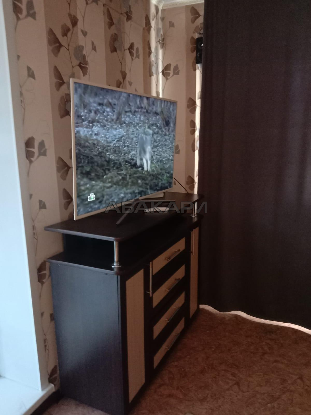 студия улица Любы Шевцовой, 80  за 27000 руб/мес фото 11