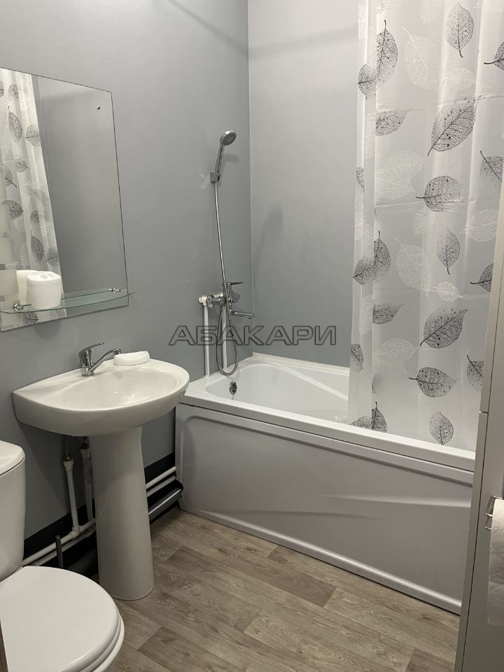 1-комнатная улица Светлова, 12  за 25000 руб/мес фото 4