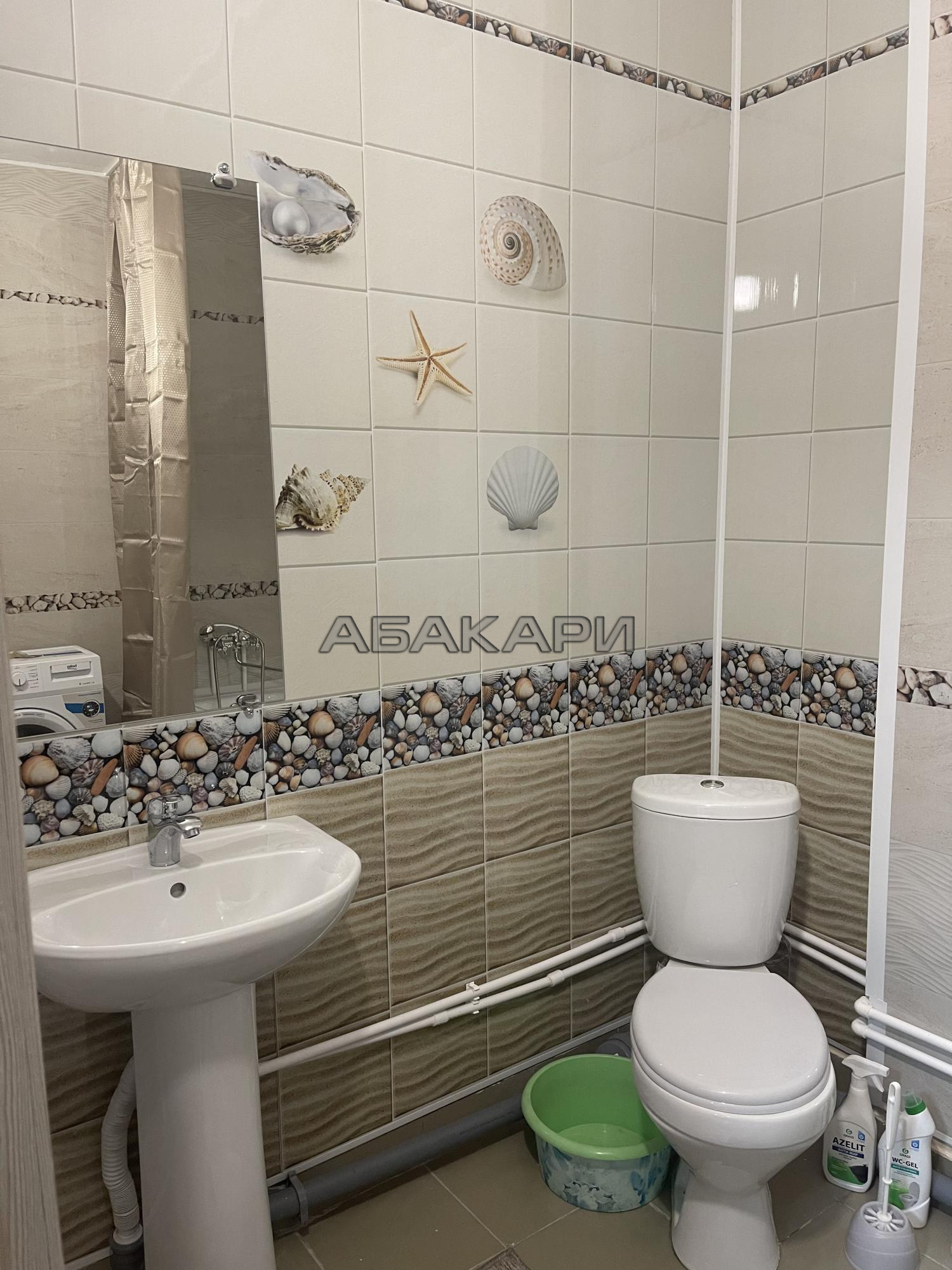 1-комнатная Караульная улица, 39Б  за 27000 руб/мес фото 7