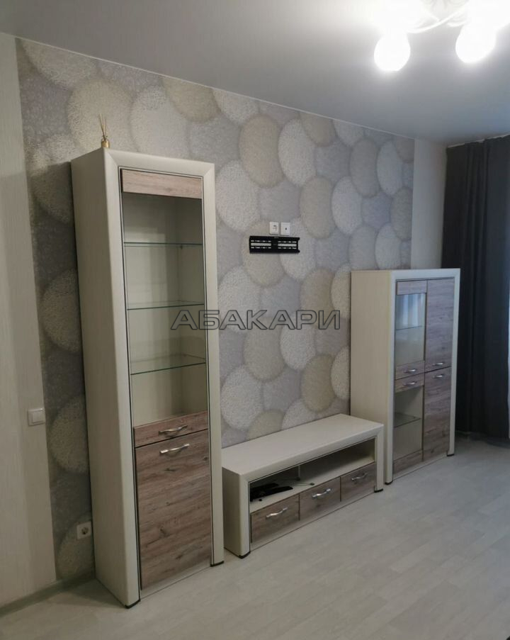 2-комнатная улица Петра Подзолкова, 21  за 45000 руб/мес фото 2