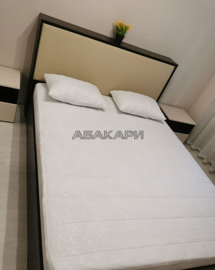 2-комнатная улица Петра Подзолкова, 21  за 45000 руб/мес фото 5