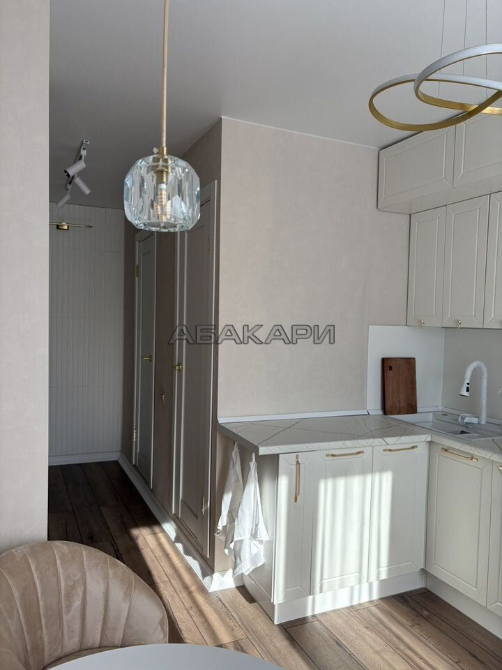 1-комнатная улица Чернышевского, 98  за 50000 руб/мес фото 12