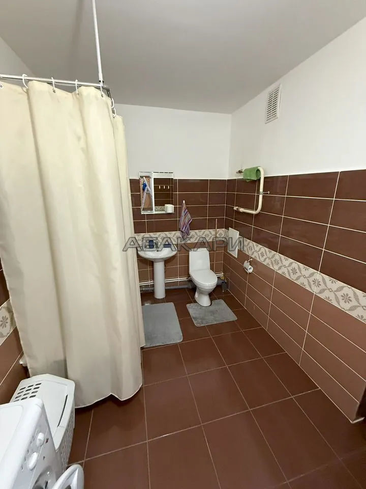 1-комнатная улица Дмитрия Мартынова, 24  за 35000 руб/мес фото 13