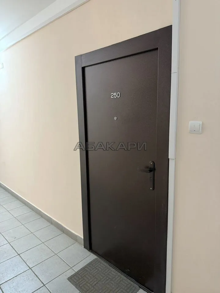 1-комнатная улица Дмитрия Мартынова, 24  за 35000 руб/мес фото 26
