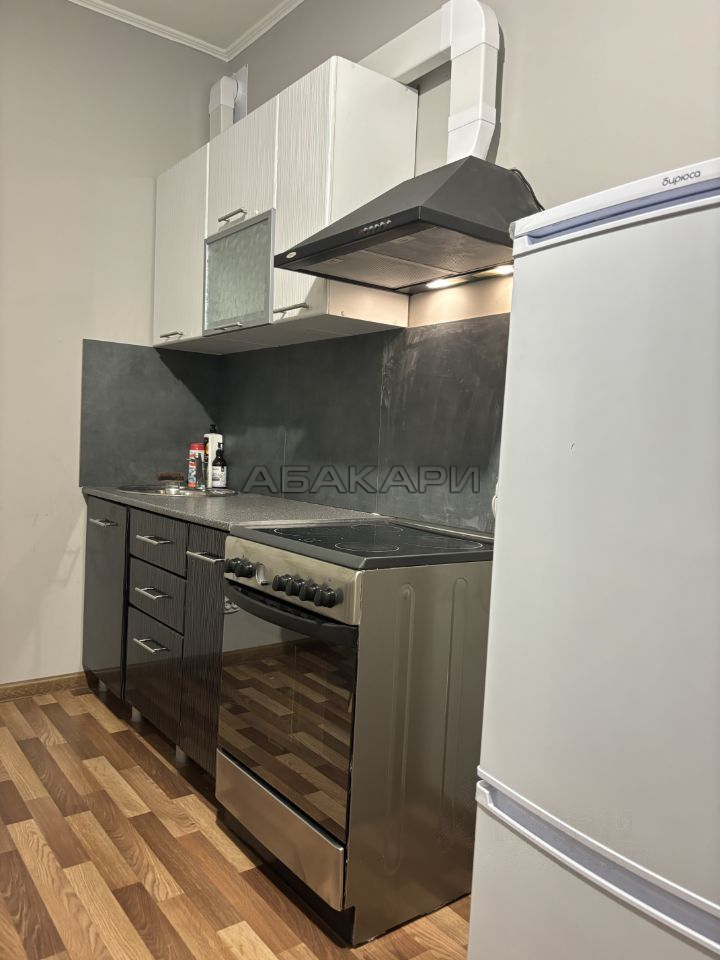 1-комнатная улица Борисова, 30  за 30000 руб/мес фото 4