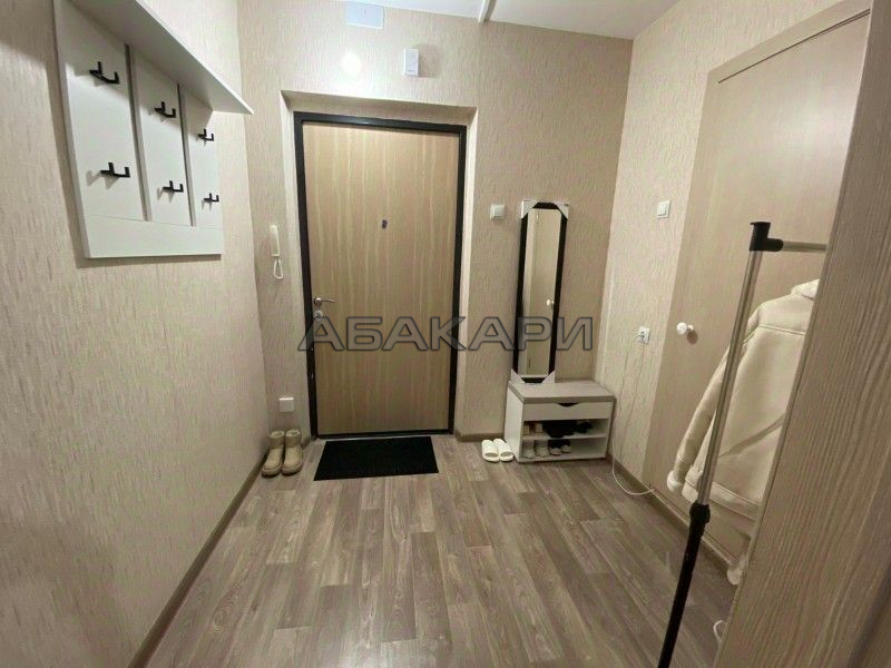 студия Светлогорский переулок, 12А  за 27000 руб/мес фото 3