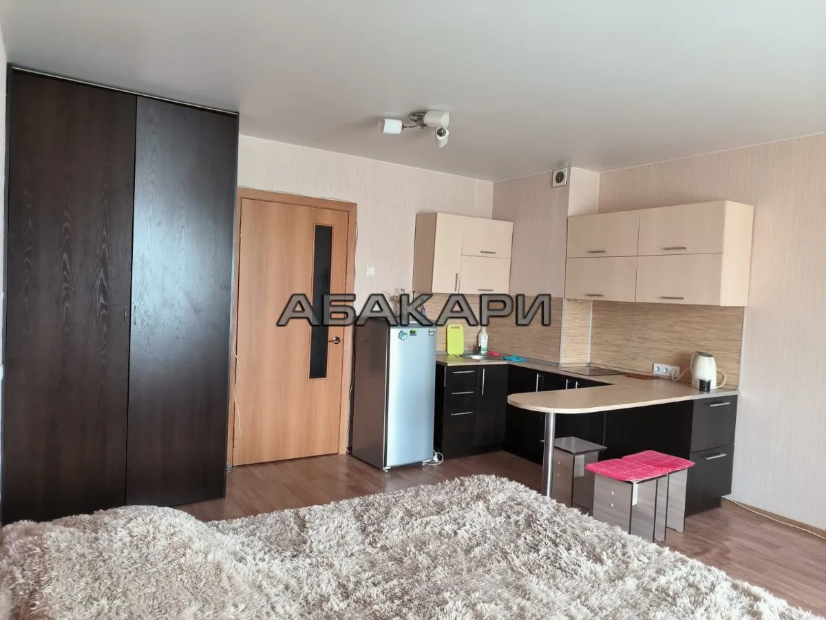 студия улица Алексеева, 3  за 33000 руб/мес фото 2