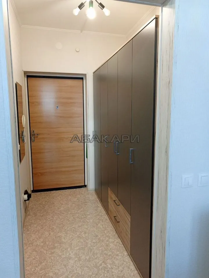 студия улица Лесников, 49  за 30000 руб/мес фото 1