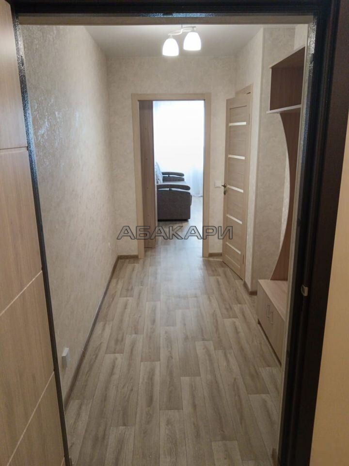 студия Дудинская улица, 2Е  за 30000 руб/мес фото 4