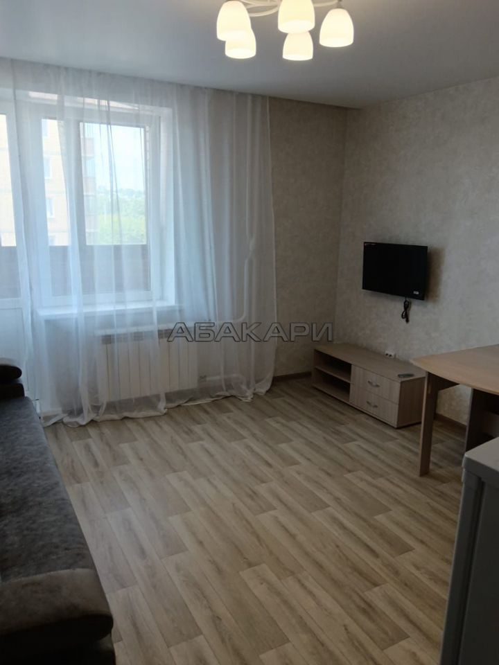 студия Дудинская улица, 2Е  за 30000 руб/мес фото 2