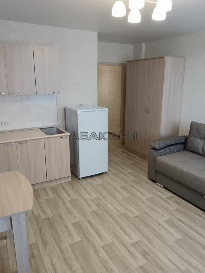 студия Дудинская улица, 2Е  за 30000 руб/мес фото 10