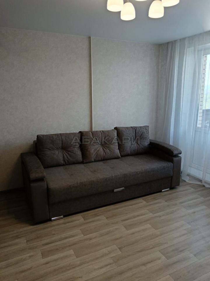 студия Дудинская улица, 2Е  за 30000 руб/мес фото 1