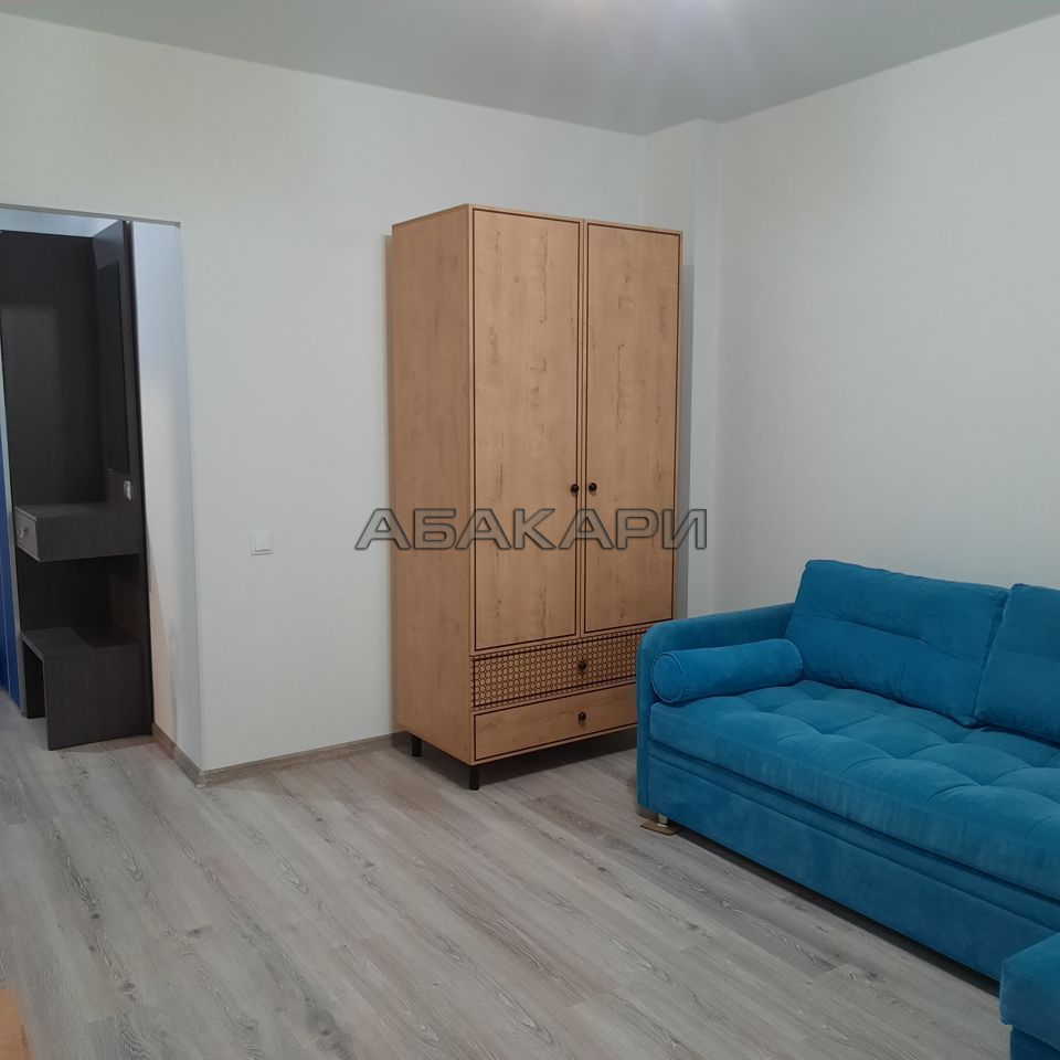 1-комнатная Парусная улица, 3  за 37000 руб/мес фото 5