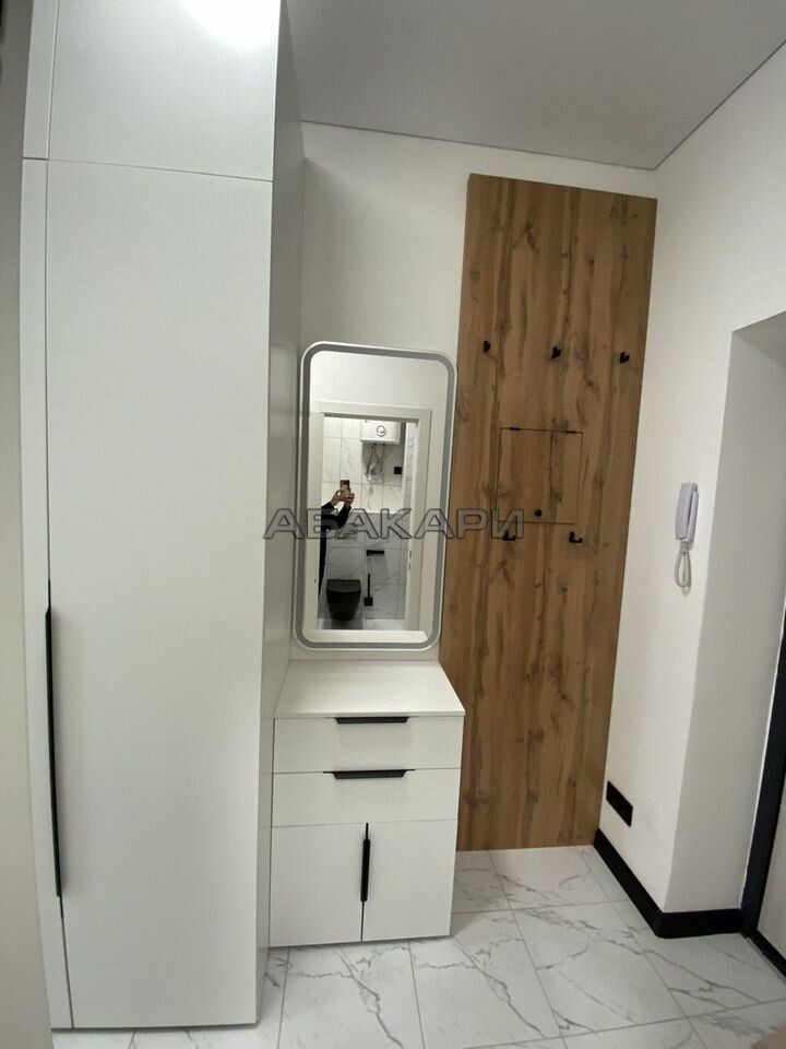 студия улица Бограда, 103  за 40000 руб/мес фото 7