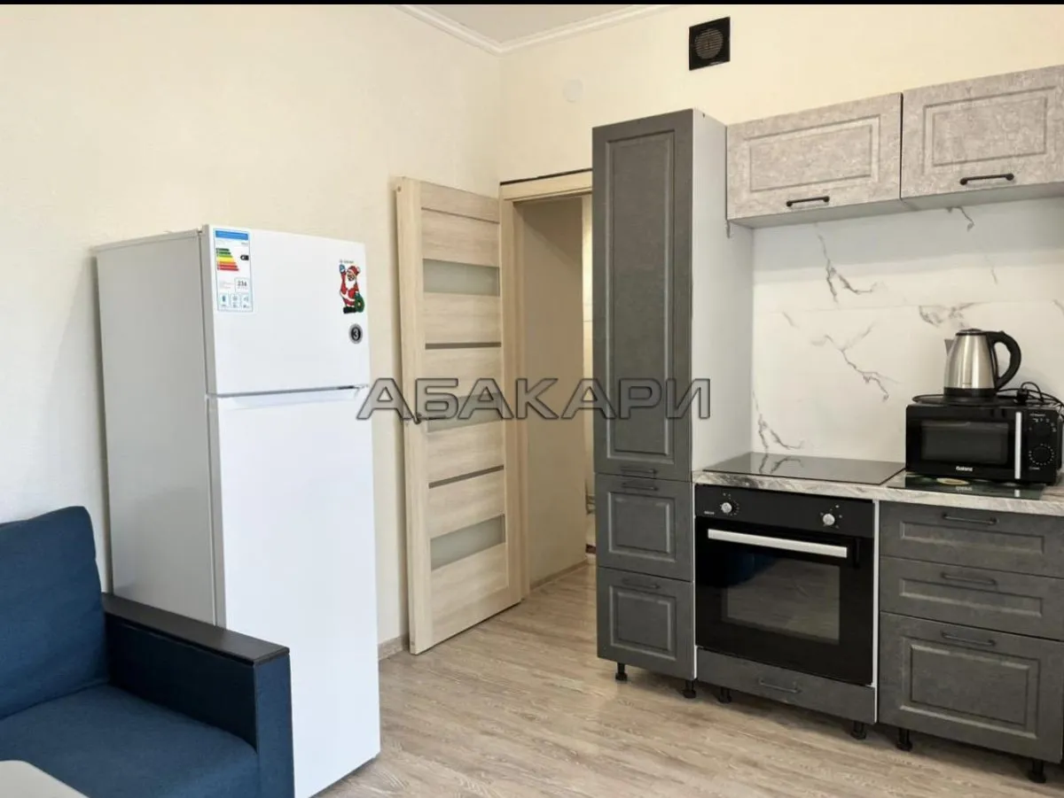 1-комнатная улица Борисова, 40  за 35000 руб/мес фото 2