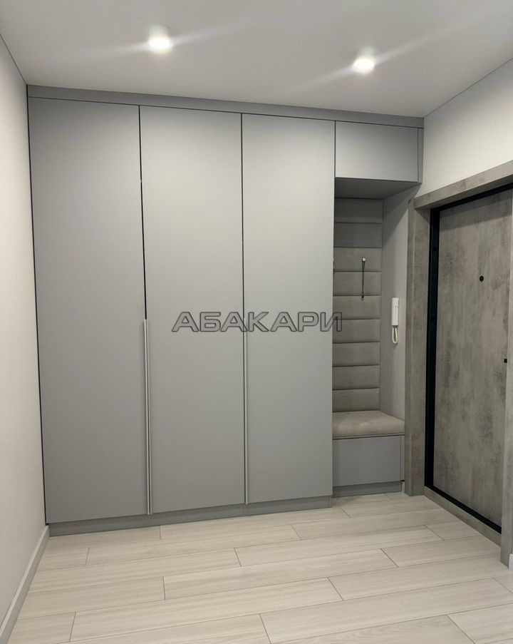 1-комнатная улица Алексеева, 48А  за 50000 руб/мес фото 9