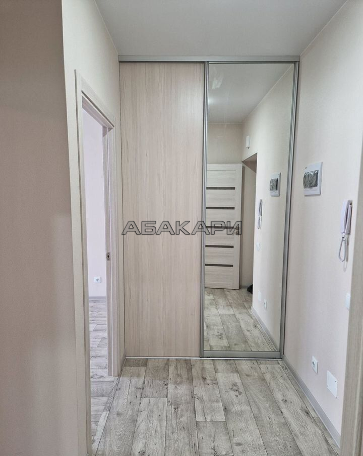 1-комнатная Светлогорский переулок, 12  за 27000 руб/мес фото 4