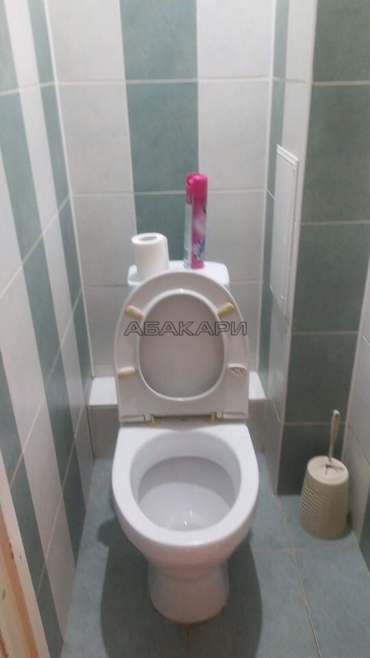 2-комнатная улица Курчатова, 15А  за 35000 руб/мес фото 12