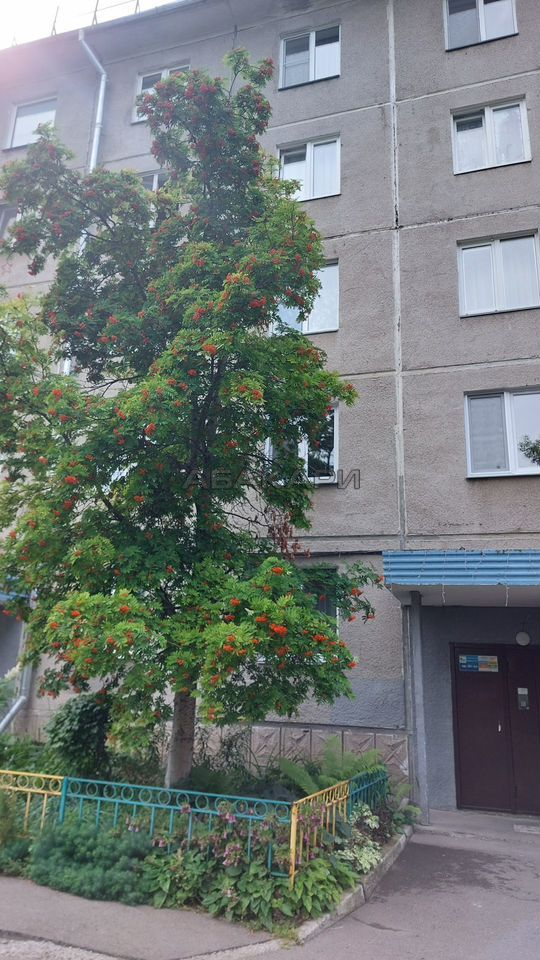 1-комнатная улица Менжинского, 13  за 33000 руб/мес фото 22