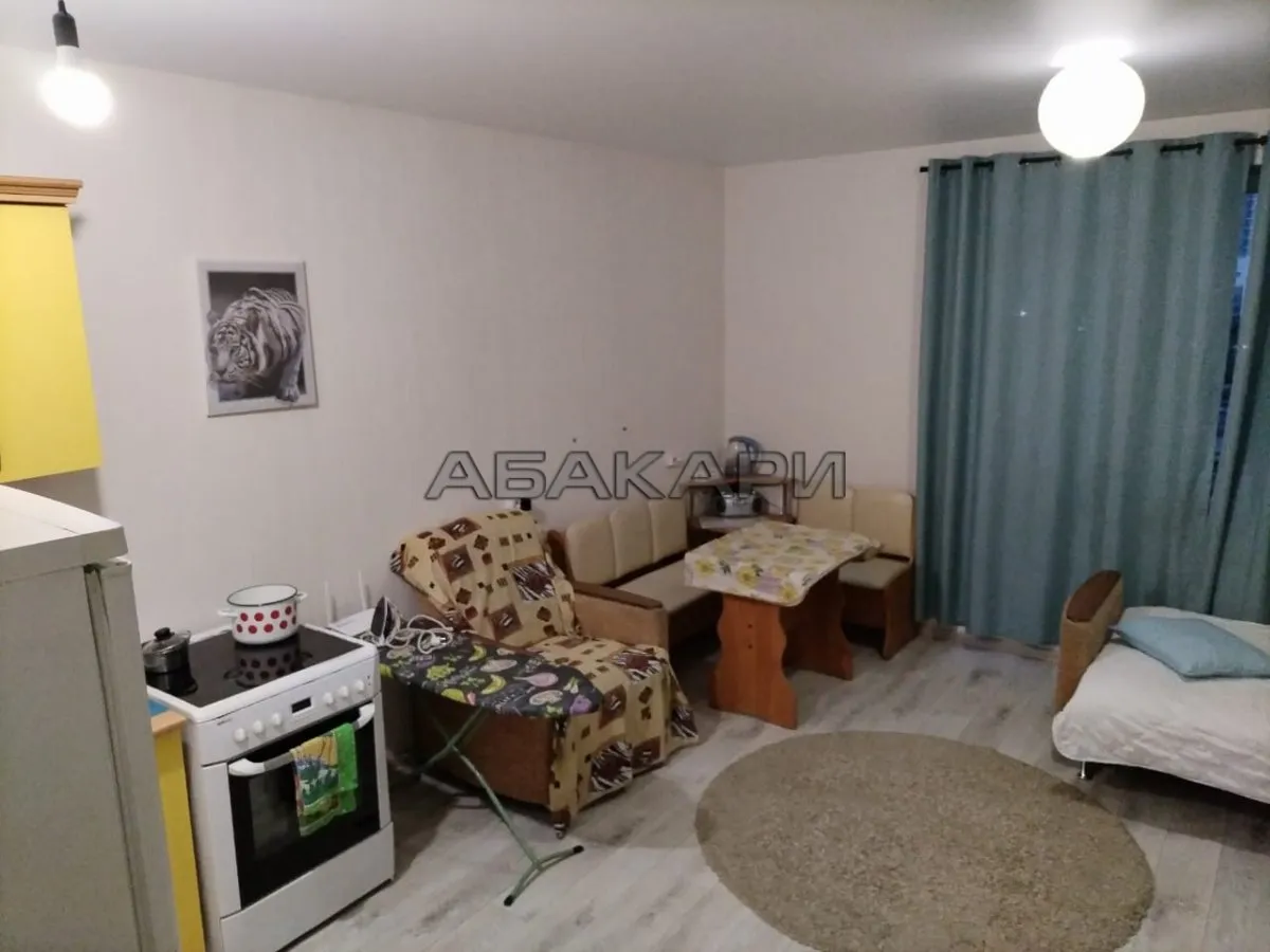 студия улица Петра Подзолкова, 22  за 27000 руб/мес фото 8
