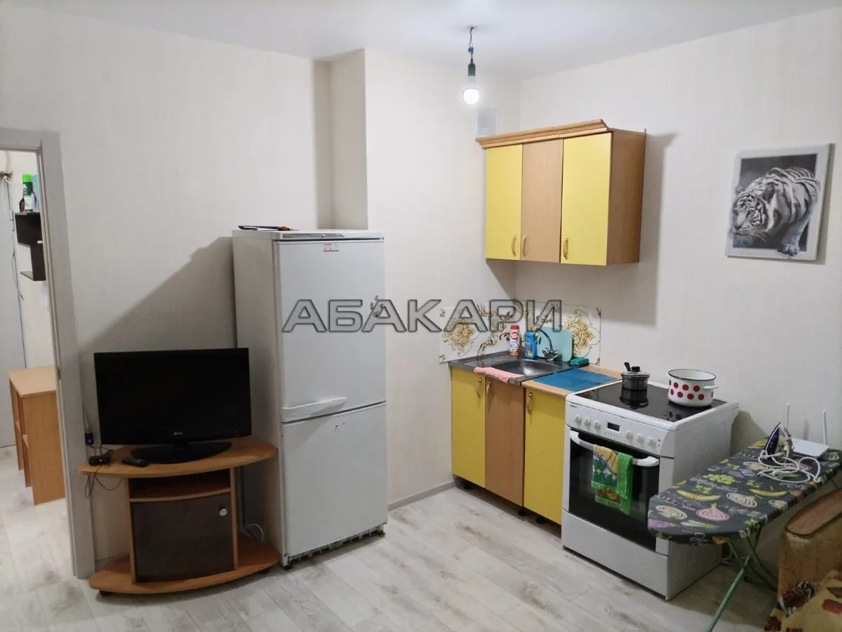 студия улица Петра Подзолкова, 22  за 27000 руб/мес фото 3