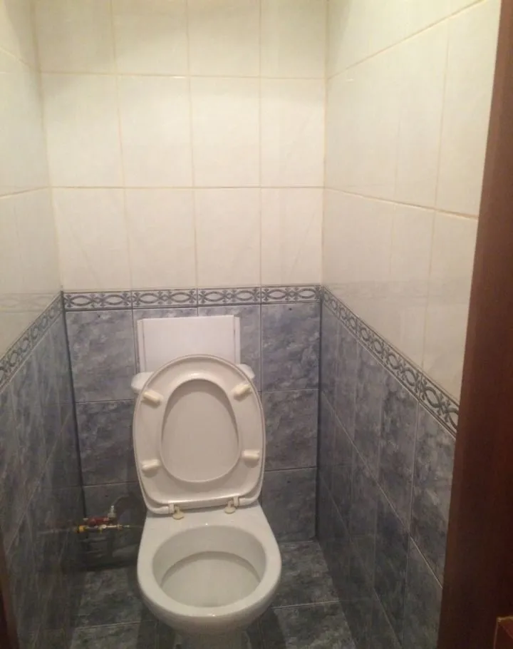 2-комнатная Коломенская улица, 24  за 35000 руб/мес фото 6