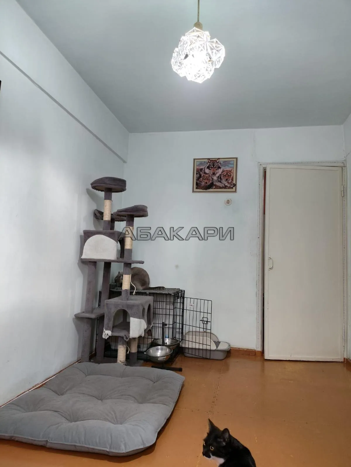 3-комнатная Парашютная улица, 70 за 32000 руб/мес фото 8 3-комнатная Парашютная улица, 70 за 32000 руб/мес фото 8