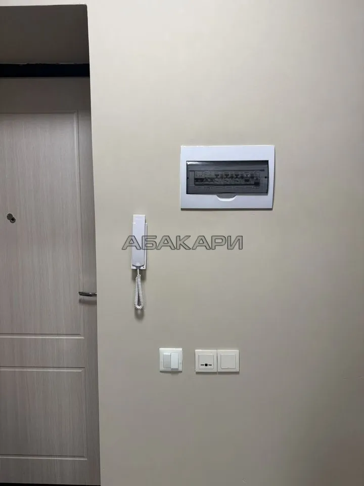 1-комнатная Южная набережная, 6  за 40000 руб/мес фото 10