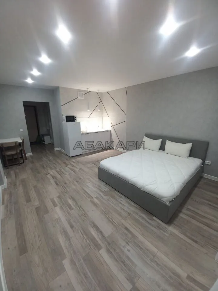 студия Дудинская улица, 2Е  за 38000 руб/мес фото 1