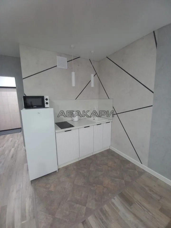 студия Дудинская улица, 2Е  за 38000 руб/мес фото 2