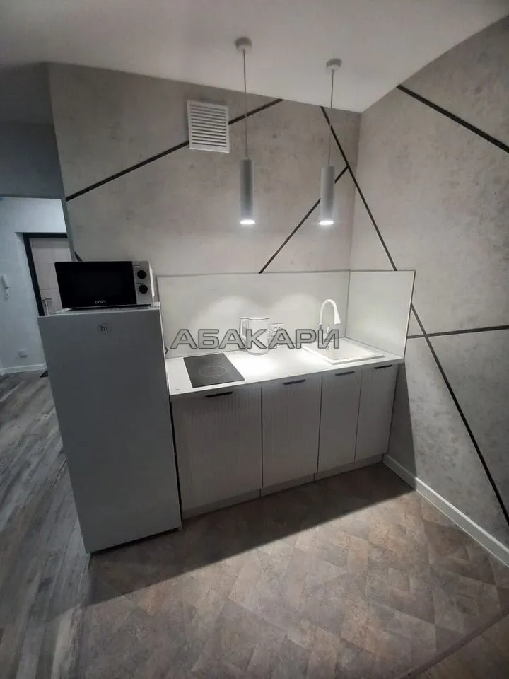 студия Дудинская улица, 2Е  за 38000 руб/мес фото 3