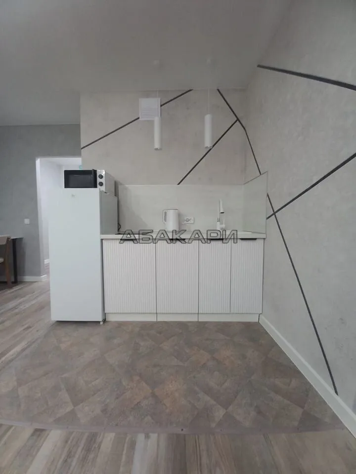 студия Дудинская улица, 2Е  за 38000 руб/мес фото 4