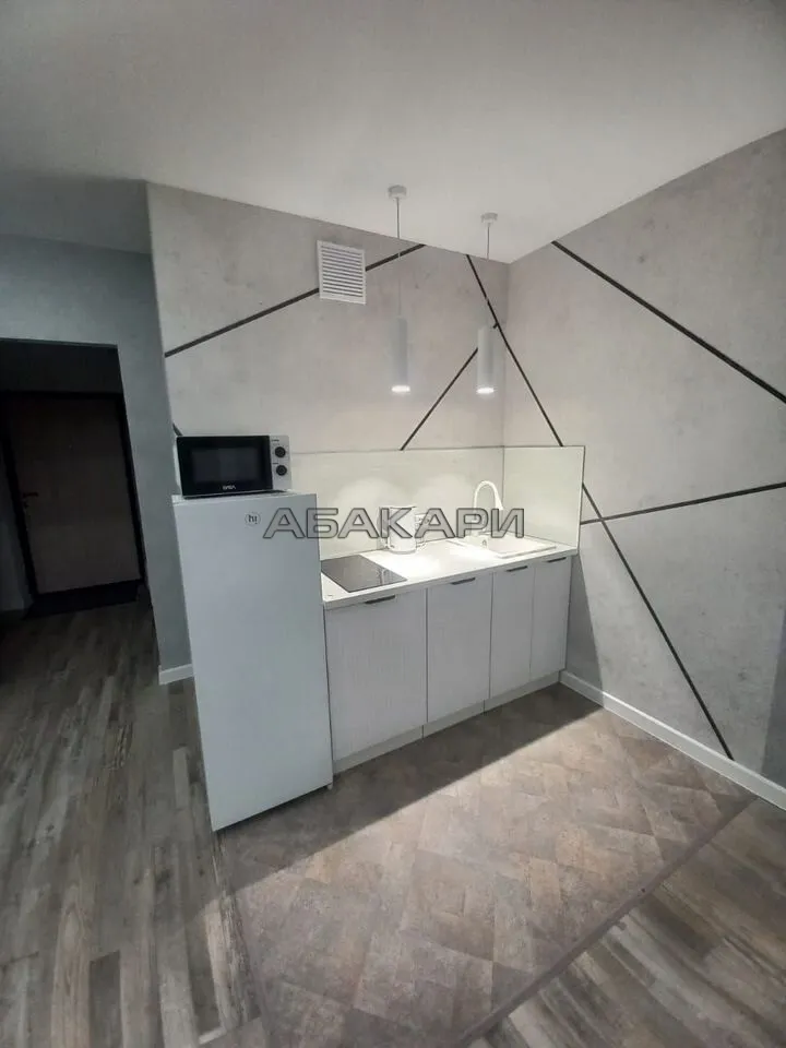 студия Дудинская улица, 2Е  за 38000 руб/мес фото 5