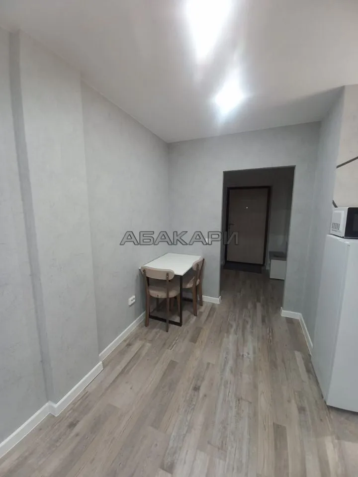 студия Дудинская улица, 2Е  за 38000 руб/мес фото 9