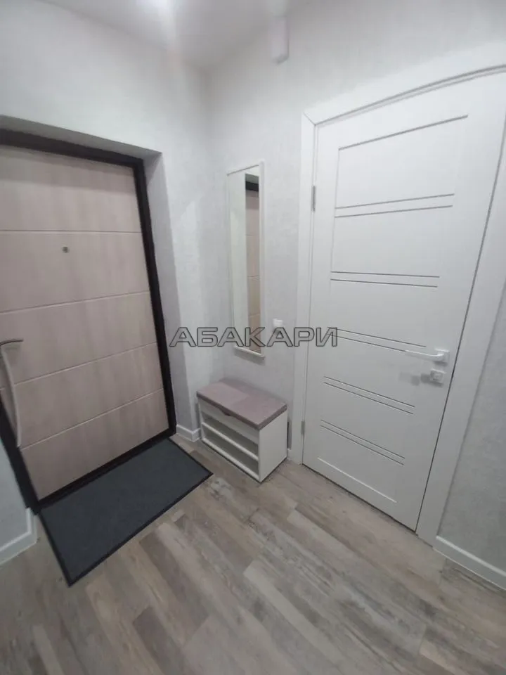 студия Дудинская улица, 2Е  за 38000 руб/мес фото 14