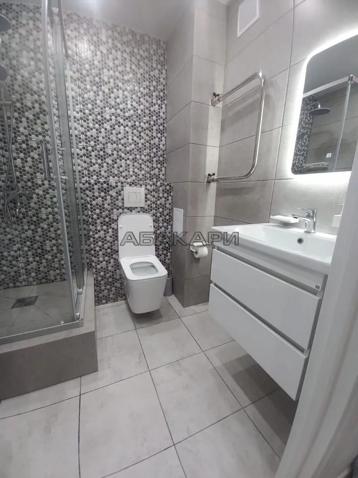 студия Дудинская улица, 2Е  за 38000 руб/мес фото 16