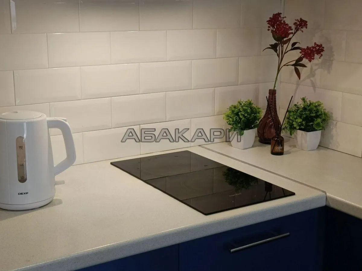 2-комнатная Линейная улица, 114  за 45000 руб/мес фото 4