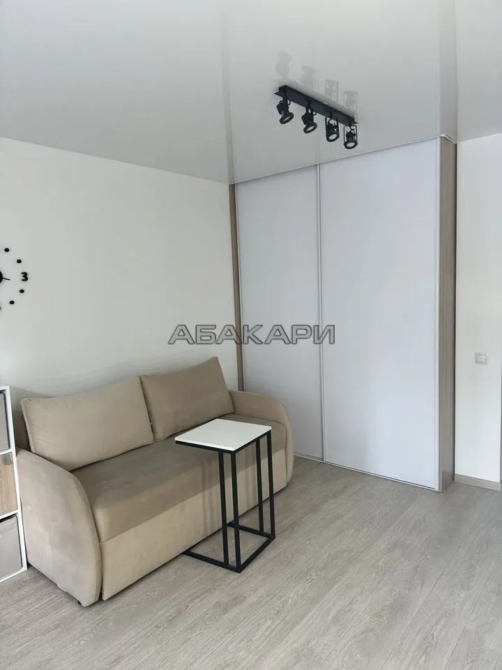 1-комнатная Светлогорский переулок, 10Б  за 35000 руб/мес фото 3