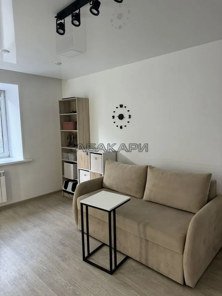 1-комнатная Светлогорский переулок, 10Б  за 35000 руб/мес фото 2