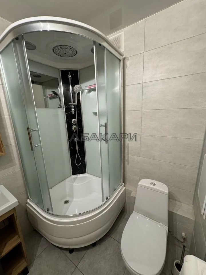 1-комнатная Светлогорский переулок, 10Б  за 35000 руб/мес фото 7