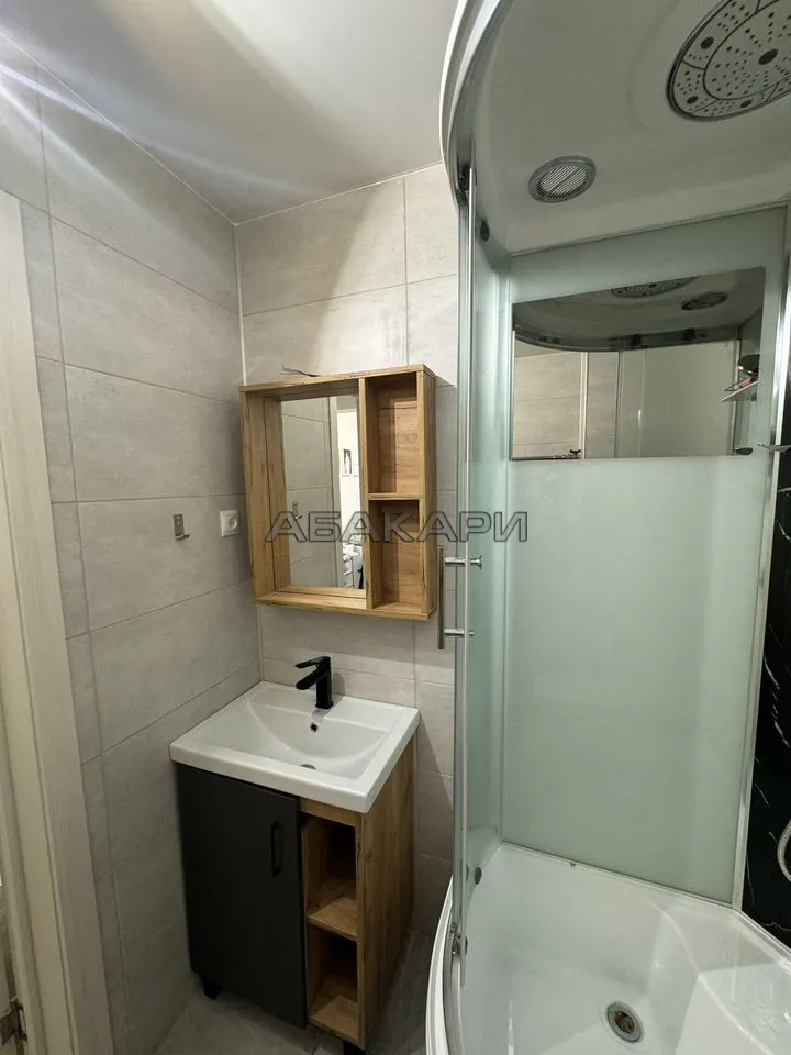 1-комнатная Светлогорский переулок, 10Б  за 35000 руб/мес фото 8
