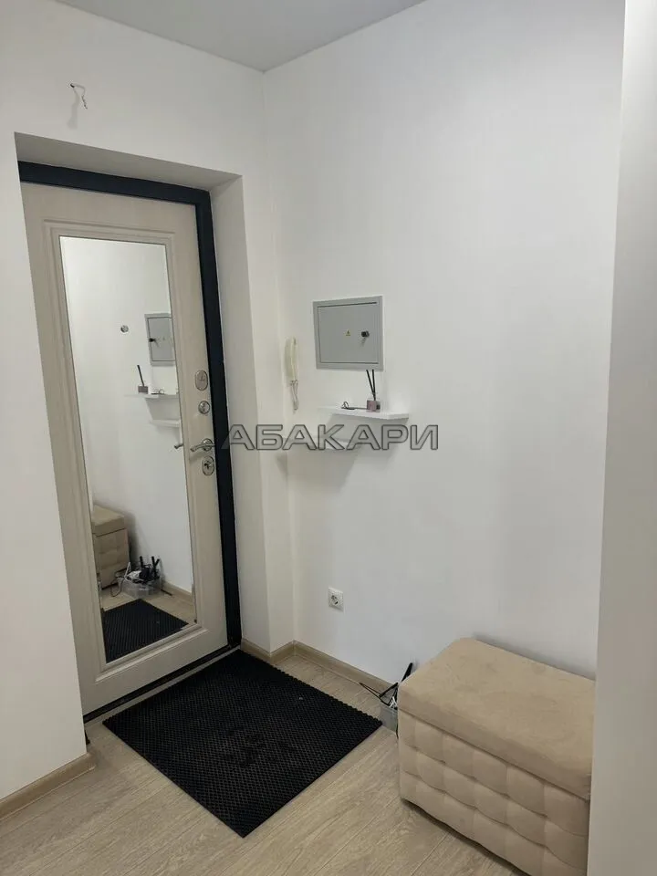 1-комнатная Светлогорский переулок, 10Б  за 35000 руб/мес фото 10