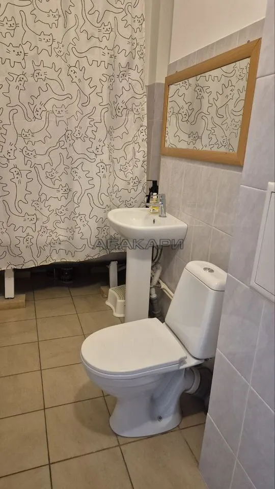 1-комнатная улица Мужества, 16  за 35000 руб/мес фото 12