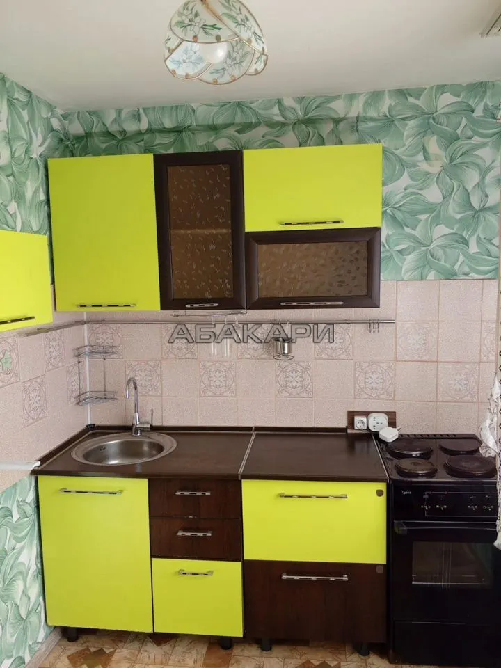 1-комнатная улица Академика Павлова, 59А  за 34000 руб/мес фото 1