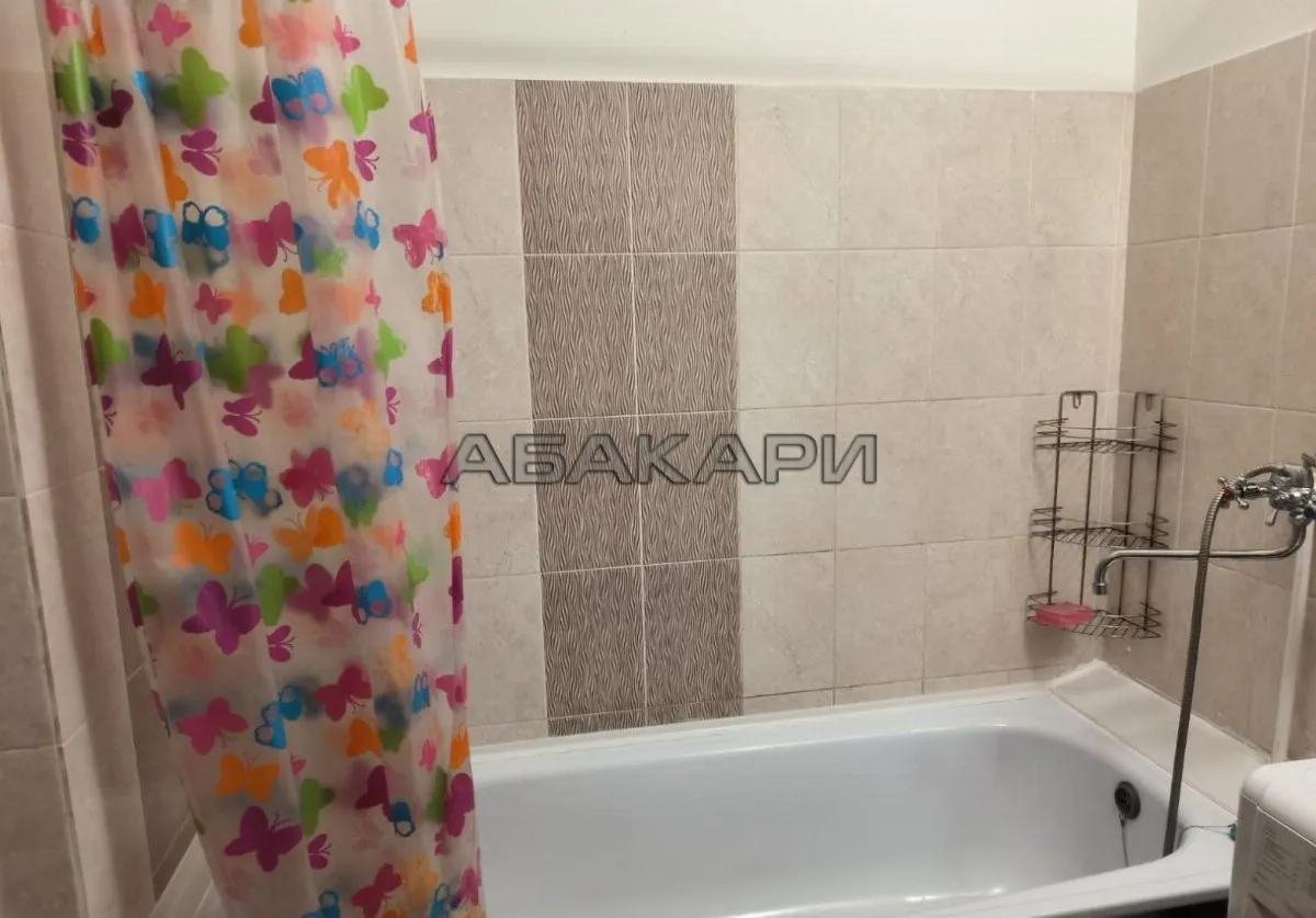 студия Караульная улица, 42  за 38000 руб/мес фото 5