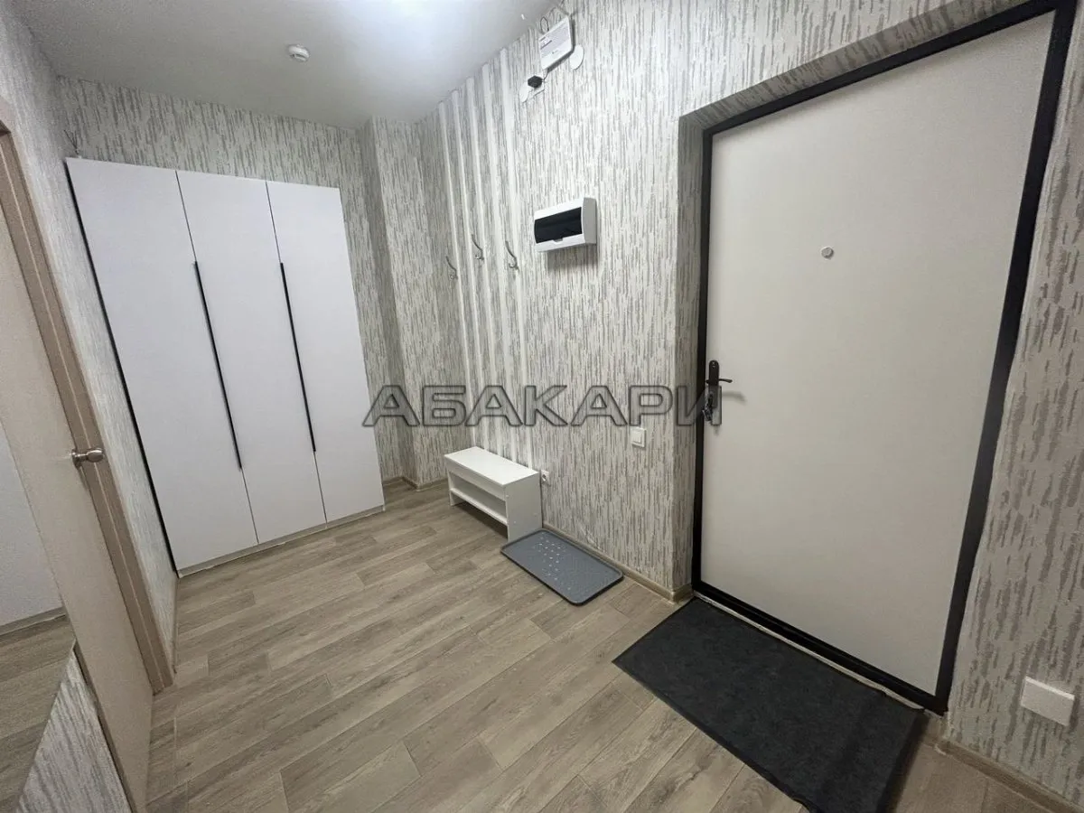 1-комнатная Караульная улица, 39А  за 40000 руб/мес фото 4
